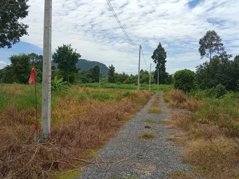 ขายที่ดินโฉนด เหลือ 2 แปลง พร้อมโอนทุกแปลง วิวเขา ติดลำธาร