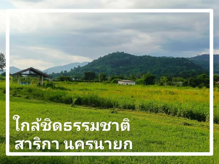 ที่ดินวิวเขาล้อมรอบ วิวเขาใหญ่ เนื้อที่ 10-3-91 ไร่