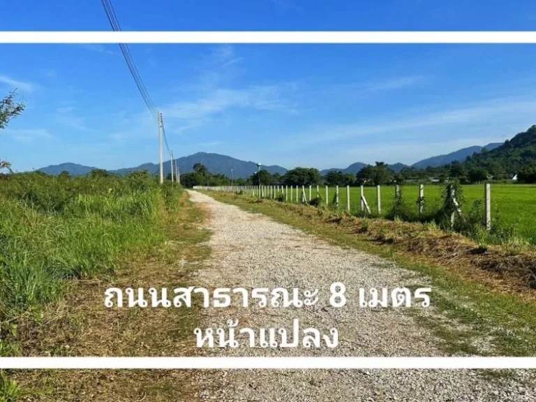 ที่ดินวิวเขาล้อมรอบ วิวเขาใหญ่ เนื้อที่ 10-3-91 ไร่