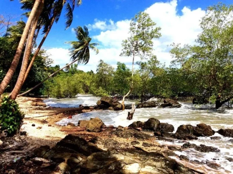 ขายที่ดินแปลงสวย ติดทะเล ตเกาะลันตาน้อย อเกาะลันตา จกระบี่