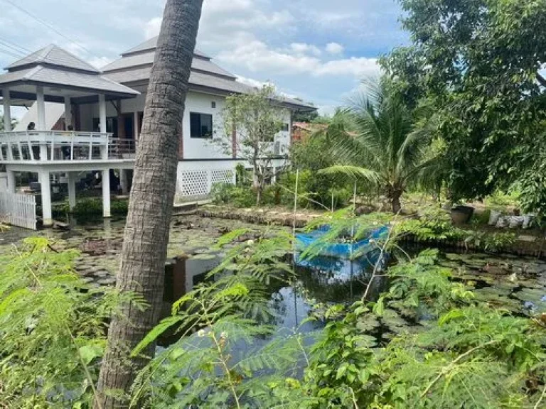 ที่ดิน 1-3-0 ไร่ บรรยากาศดี เงียบสงบ ใกล้แหล่งชุมชม