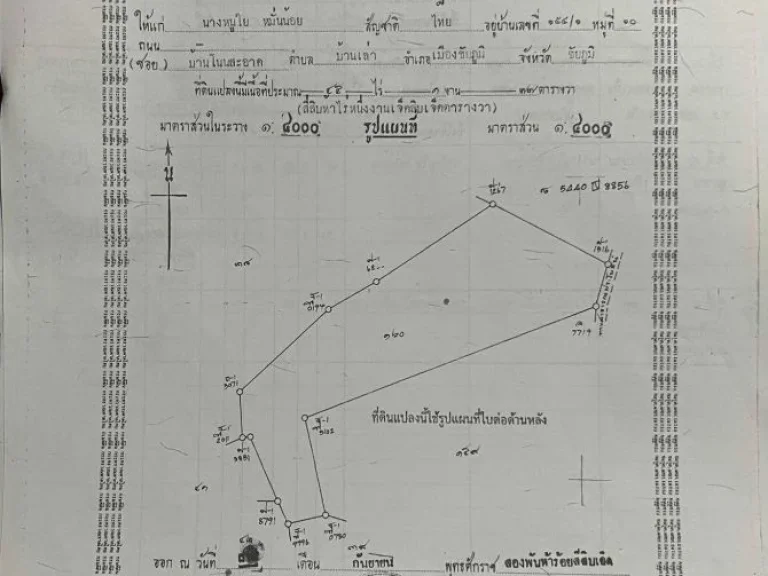 ขายที่ดิน ชัยภูมิ 4-3-88 ไร่ เป็นที่สวน S03-1553