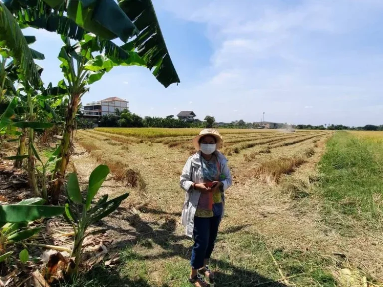 ขายที่ดินทำเลดี เจ้าของขายเอง ราคาต่อรองได้ ตำบลสามวาตะวันออก