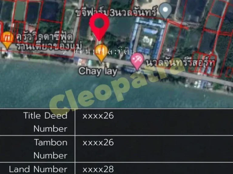 ขายที่ดินติดทะเล ที่ตรงข้ามทะเล รวมทั้งหมด9ไร่