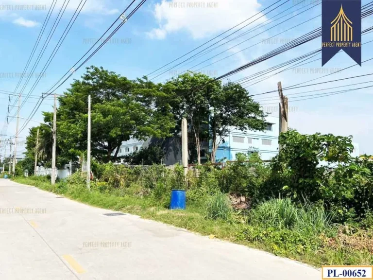 ขายที่ดิน 10 ไร่ รังสิต คลอง 2 คลองหลวง ปทุมธานี