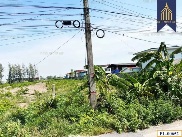 ขายที่ดิน 10 ไร่ รังสิต คลอง 2 คลองหลวง ปทุมธานี