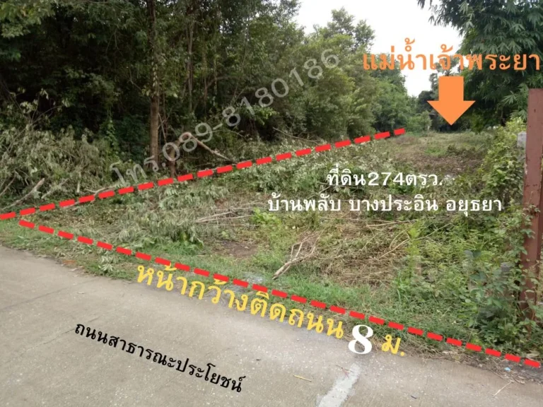 ที่ดิน 274ตรวติดแม่น้ำจ้าพระยา บ้านพล้บ บางปะอิน จอยุธยา