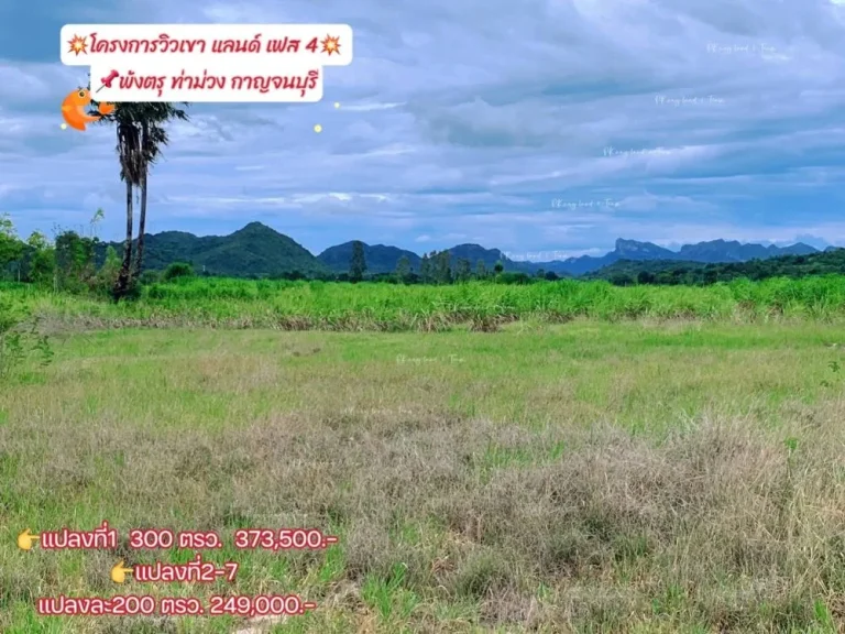 ขายที่ดินพังตรุ วิวเขา เริ่ม 200 ตรว ท่าม่วง กาญจนบุรี