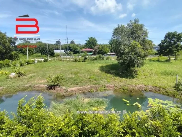 ที่ดินบ้าน หนองเสือ รังสิตคลอง 9 เนื้อที่ 1922 ตรว