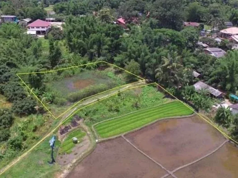 ขายที่ดินวิวดอยแม่แตงห่างถนนหลักเพียง 250เมตรพร้อมโอน