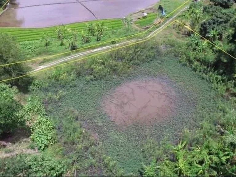 ขายที่ดินวิวดอยแม่แตงห่างถนนหลักเพียง 250เมตรพร้อมโอน