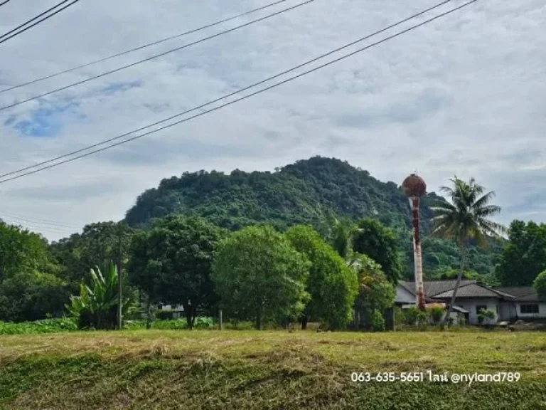 ขายที่สวนป่าสวย ตพรหมณี อเมืองนครนายก รูปที่สวย