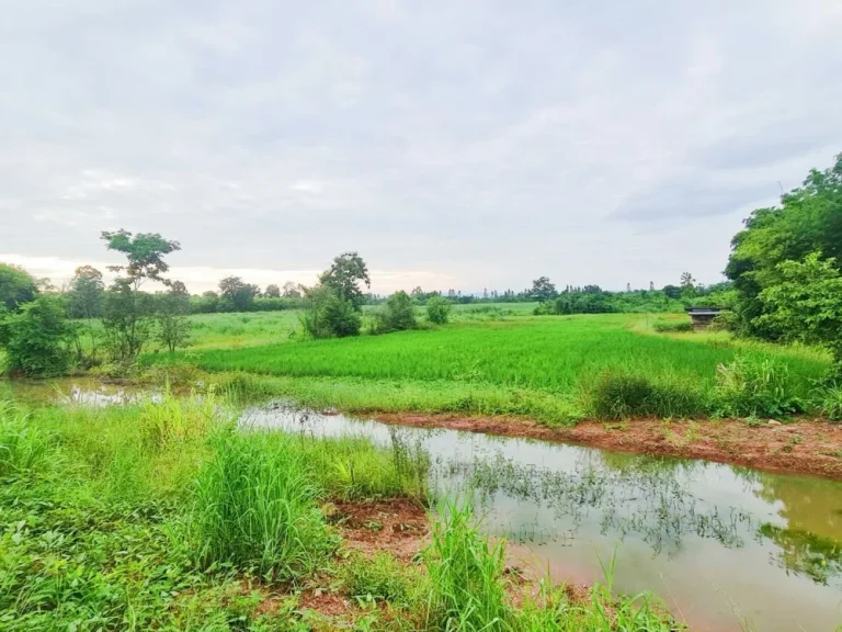 ที่ดินบ้านสวน 2 หลัง ราคาถูกมาก เป็นส่วนตัว บรรยากาศดี