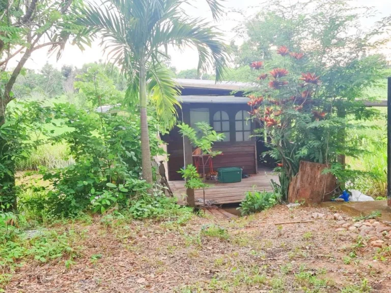 ที่ดินบ้านสวน 2 หลัง ราคาถูกมาก เป็นส่วนตัว บรรยากาศดี