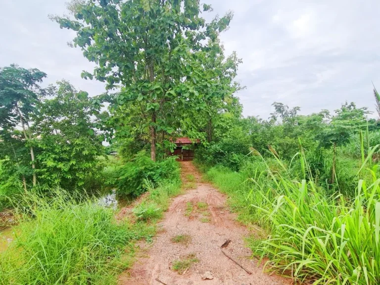 ที่ดินบ้านสวน 2 หลัง ราคาถูกมาก เป็นส่วนตัว บรรยากาศดี