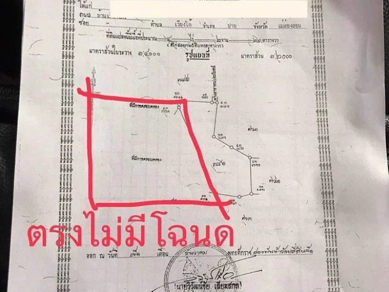 ขายที่ดิน ขนาด 8 ไร่ ตเวียงใต้ อปาย จแม่ฮ่องสอน