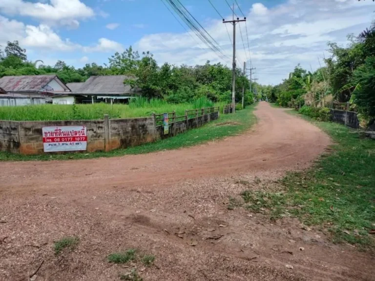 ขายที่ดินในหมู่บ้านมณฑลพัฒนา เชียงยืน มหาสารคาม