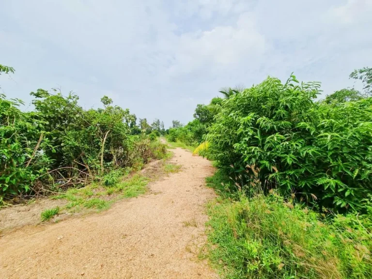 ที่ดินใกล้ทะเลสาปสงขลา เดินทางสะดวก ด้านหลังติดคลองขนาดใหญ่