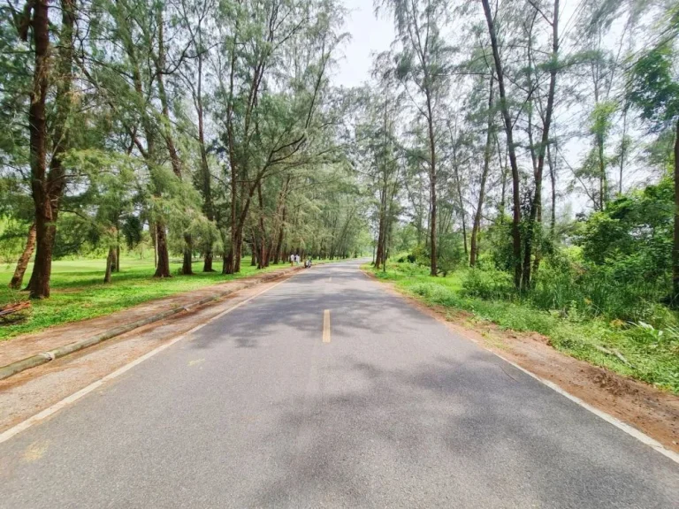 ที่ดินใกล้ทะเลสาปสงขลา เดินทางสะดวก ด้านหลังติดคลองขนาดใหญ่