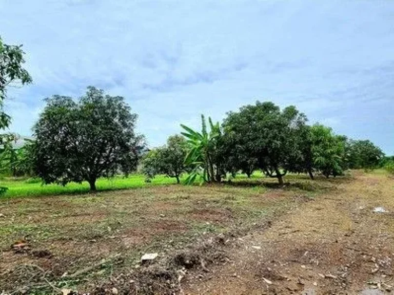 ขายที่ดินติดถนน 2 ไร่ คลอง 7 ลำลูกกา ติดคลอง