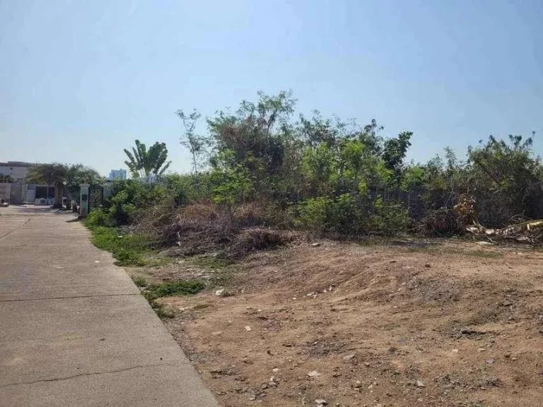 ขายที่ดินเปล่าเทพประสิทธิ์ Land for sale Thepprasit near