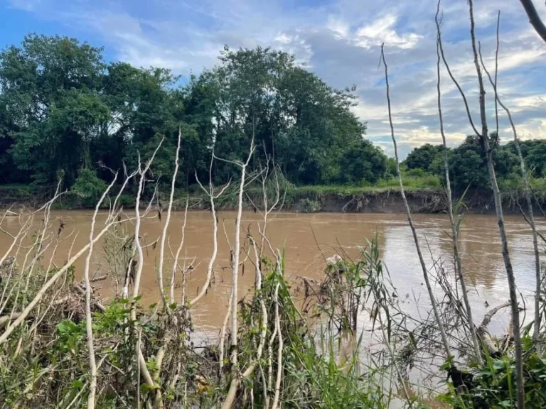 ขายที่ดินติดแม่น้ำขานสันป่าตองห่างโรงพยาบาล 4 กมพร้อมโอน