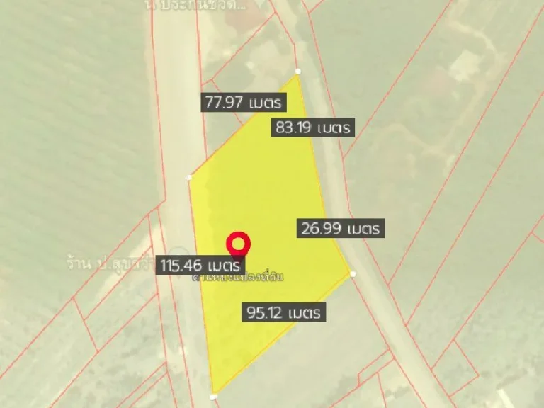 ขายที่ดินบ้านนาแกลง 4 ไร่ หน้าติดถสี่เลนกว้าง 115 เมตร