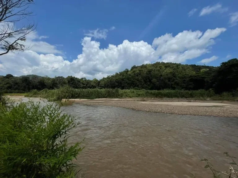 ขายที่ดินติดลำธารน้ำสะเมิงห่างตัวเมืองสะเมิง 10 กม ราคาถูก