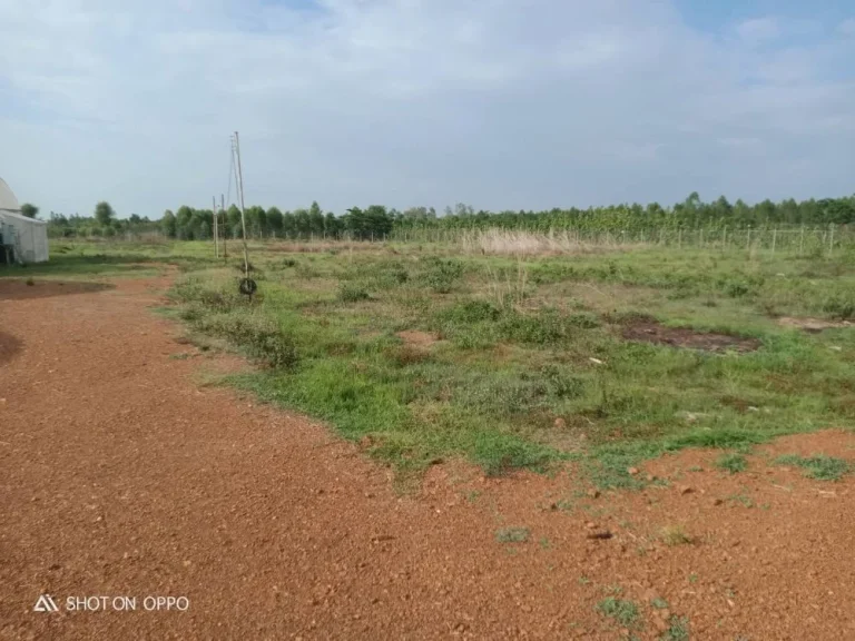 ที่ดิน 12 ไร่ บนถนน ลป1003 สายป่าจั้ม มหาจุฬา ใน น้ำโจ้ แม่ทะ