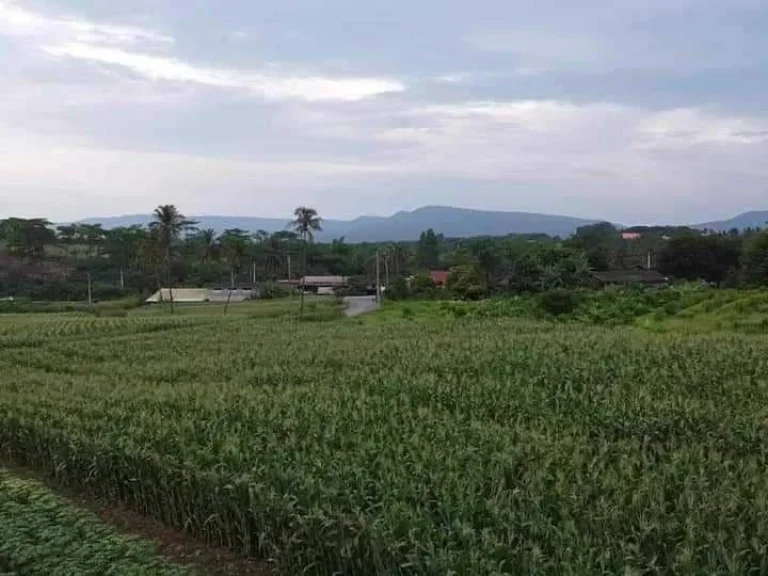 ขายทีดิน 9 ไร่วิวภูเขา โอโชนดีอาอาศดี ที่เขาใหญ่โฉนดครุฑแดงพ