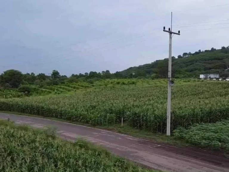 ขายทีดิน 9 ไร่วิวภูเขา โอโชนดีอาอาศดี ที่เขาใหญ่โฉนดครุฑแดงพ