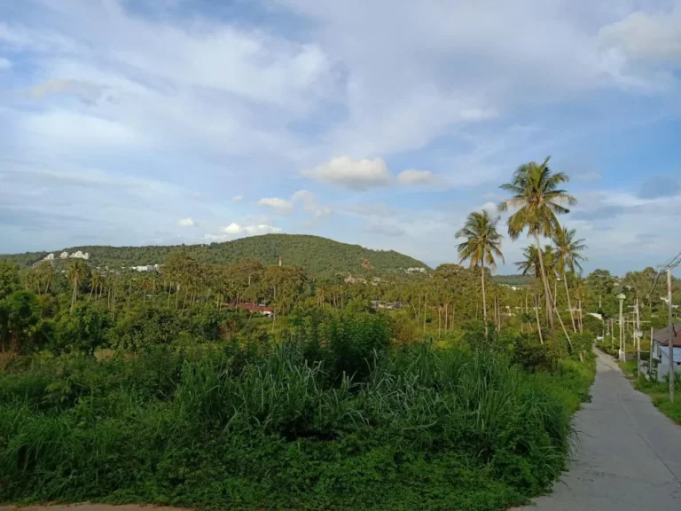 ขายที่ดินบนเกาะสมุยซีวิวทะเลและวิวภูเขาเป็นที่ราบ 23ไร่ ใกล้หาดบ่อผุดฟิชเชอร์แมนวิลเลจเกาะสมุย