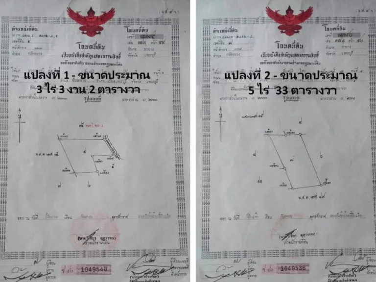 ขายที่ดิน 8-3-35 ไร่ ถนนคอนกรีต วิวภูเขา