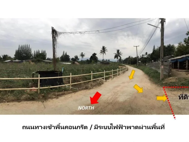 ขายที่ดิน 8-3-35 ไร่ ถนนคอนกรีต วิวภูเขา