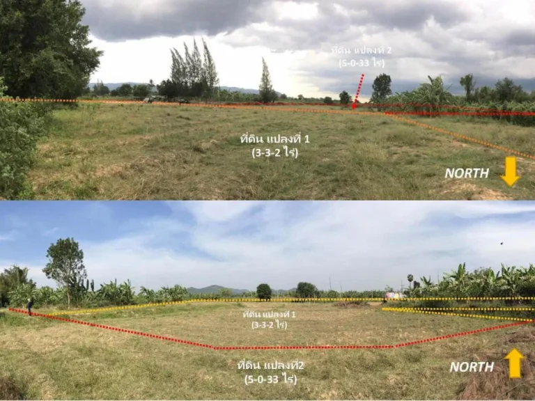 ขายที่ดิน 8-3-35 ไร่ ถนนคอนกรีต วิวภูเขา