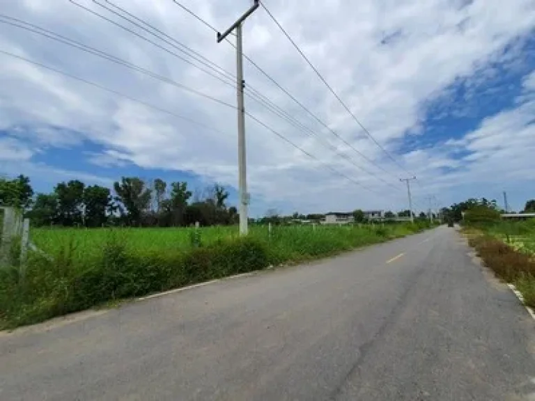 ขายที่ดินหนองเสือ คลอง11 ขนาด 200 ตรว ติดถนนลาดยาง มีน้ำไฟครบ เหมาะสร้างบ้านและทำการเกษตร ทำโกดัง