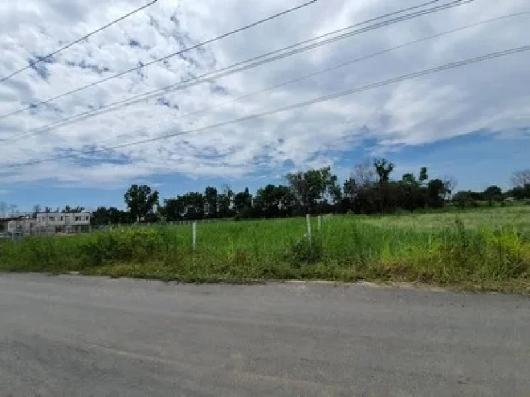 ขายที่ดินหนองเสือ คลอง11 ขนาด 200 ตรว ติดถนนลาดยาง มีน้ำไฟครบ เหมาะสร้างบ้านและทำการเกษตร ทำโกดัง