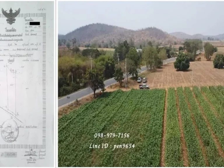 ขายที่ดิน 20 ไร่ 2 งาน 82 ตารางวา หมาะสำหรับปลูกบ้านพักตากอากาศ วิวภูเขา