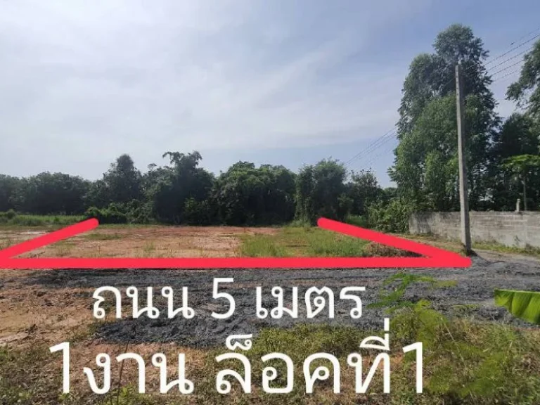 ขายที่ดินถมแล้ว 100ตรวา อบ้านนา น้ำไฟผ่านหน้าที่ มีเพื่อนบ้านข้างเคียง เหมาะทำบ้านสวน หรือ ซื้อเก็บ