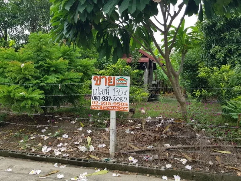 ขาย ที่ดิน ในหมู่บ้านสาวิตรี ศาลาธรรมสพน์ 31 ถนนพุทธมณฑลสาย 3 เขตทวีวัฒนา กรุงเทพมหานคร