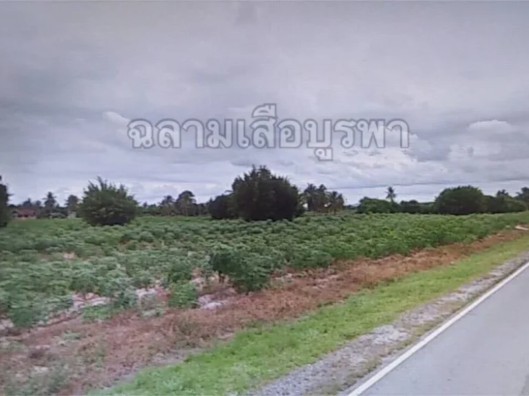 ขายที่ดินในนิคมอุตสาหกรรม ผังม่วง ตบ้านฉาง อบ้านฉาง จระยอง 32-2-35ไร่