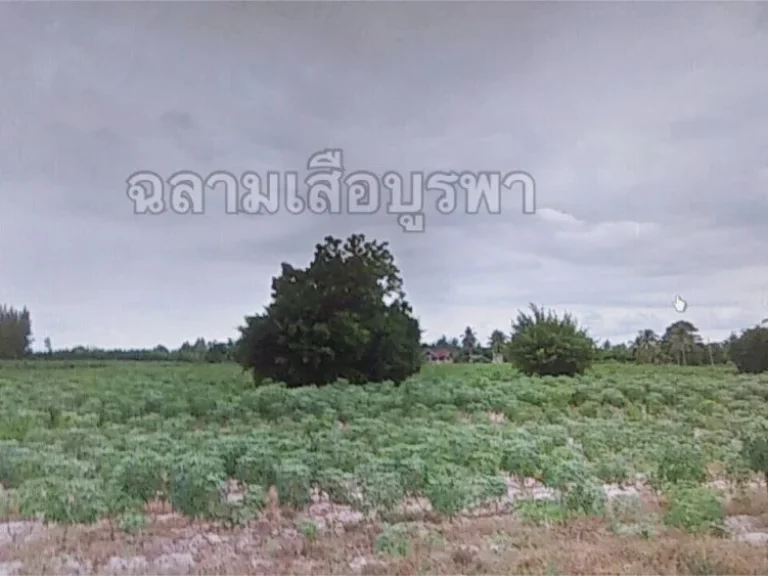 ขายที่ดินในนิคมอุตสาหกรรม ผังม่วง ตบ้านฉาง อบ้านฉาง จระยอง 32-2-35ไร่