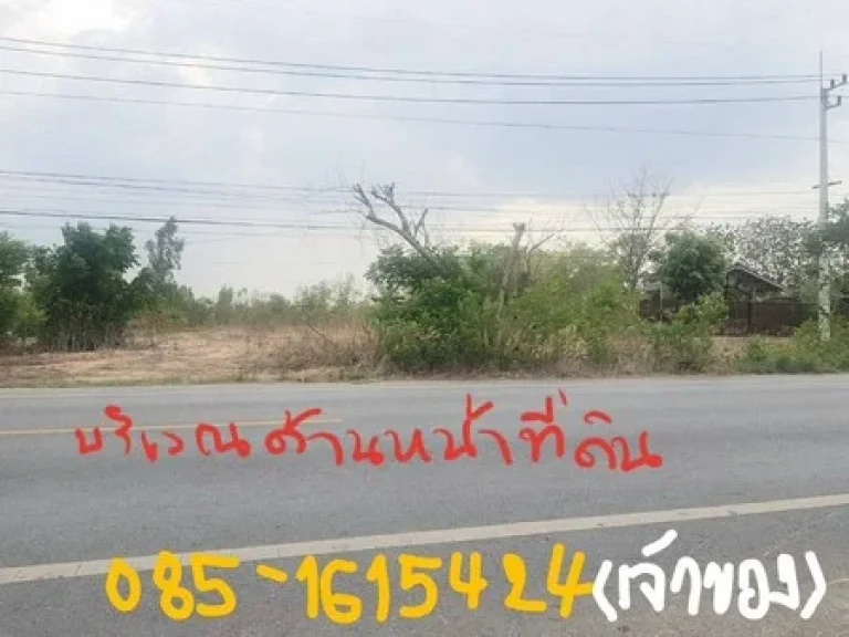 ขายที่สวยสุพรรณ มีโฉนด 2 ไร่ 82 ตรว ใจกลางตัวอำเภอหนองหญ้าไซติดถนนลาดยาง 3015