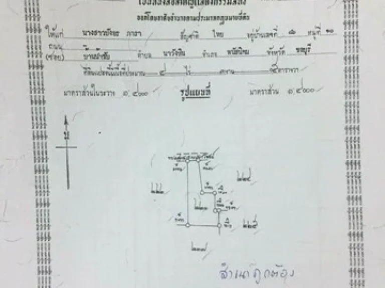 ขายด่วน ที่ดิน เนื้อที่ 100 ไร่ มี 3 โฉนด ใกล้ สวนผึ้งทอง ตำบลนาวังหิน อำเภอพนัสนิคม จังหวัดชลบุรี