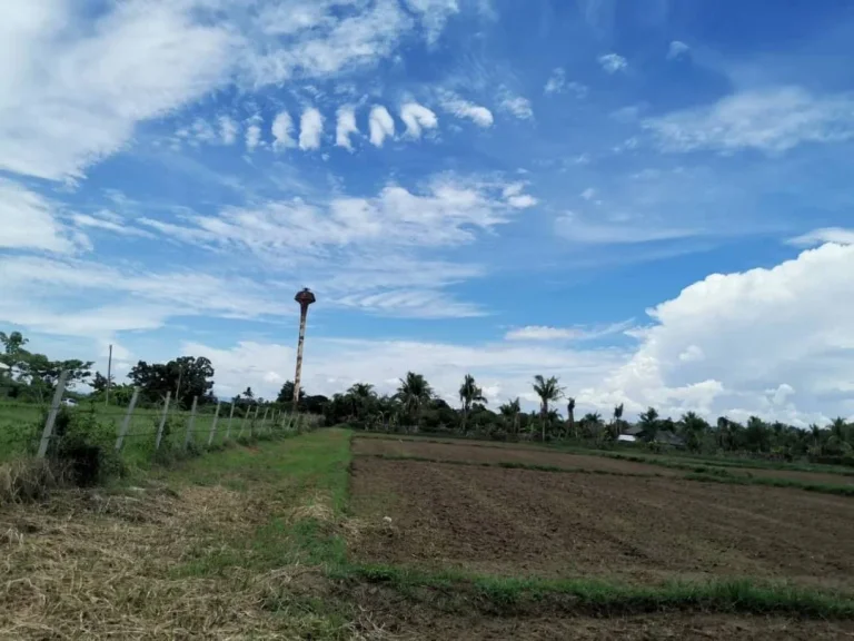 ขายที่สวนห่างบ้านถวาย 500 เมตร แบ่งขายหลายแปลง