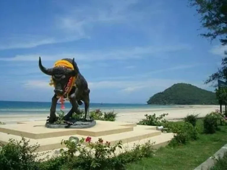 ขายและให้เช่า ที่ดินใกล้ทะเล Land for Sale and rent near the sea with master plan resort in Chumphon