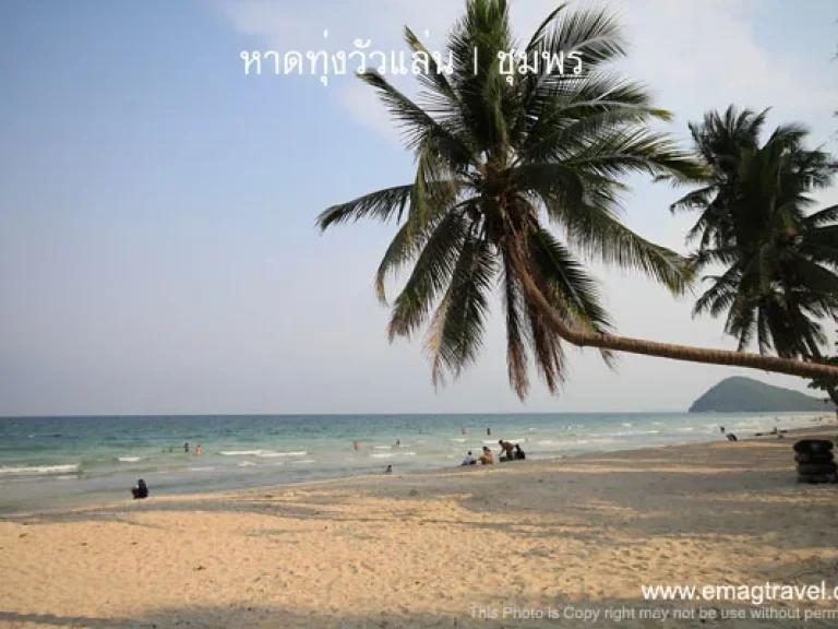 ขายและให้เช่า ที่ดินใกล้ทะเล Land for Sale and rent near the sea with master plan resort in Chumphon