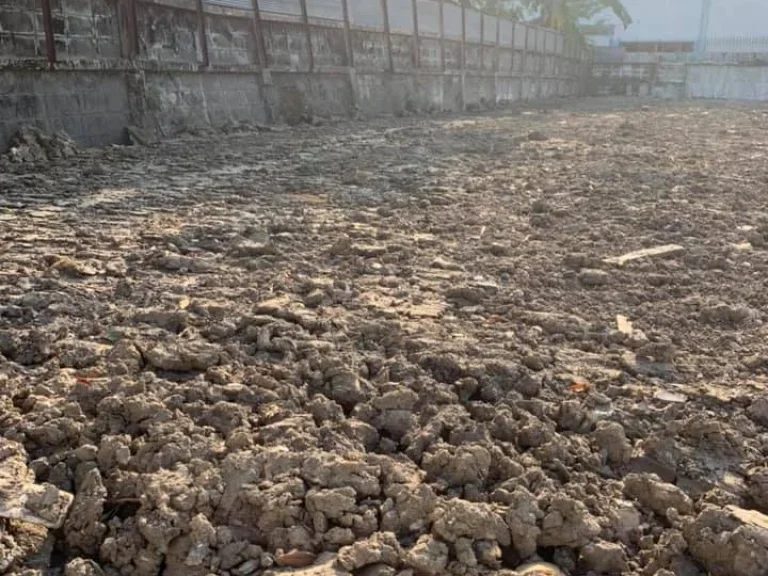 ขายที่ดิน 140 ตรว ถนน สุขุมวิท 1011 ซอยวชิรธรรมสาธิต 14