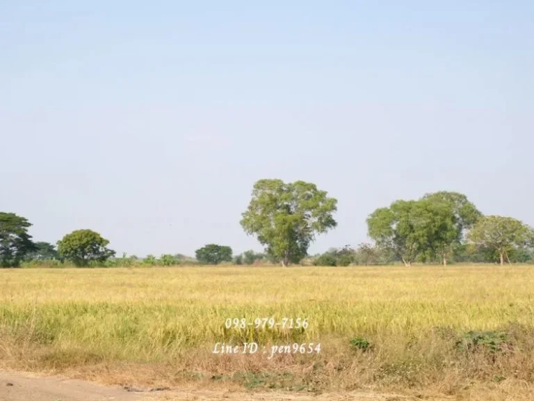 ขายที่ดิน 10 ไร่ พื้นที่สีชมพู ติดหมู่บ้านและโรงงาน ใกล้วัดเทียนดัด