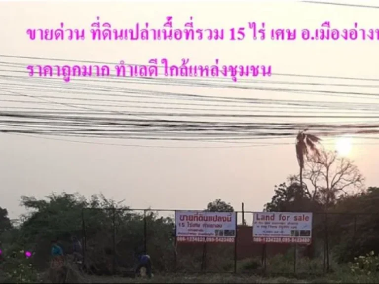 ขายด่วน ที่ดินเปล่าตัวเมืองอ่างทอง แหล่งเศรษฐกิจ 15 ไร่